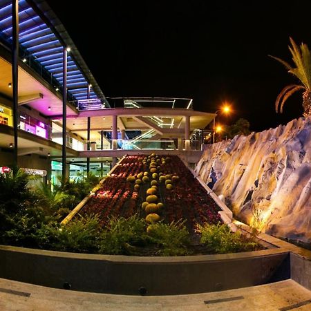 Studio Giulia - Playa Paraiso Tenerife Costa Adeje  Εξωτερικό φωτογραφία